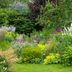 7 Gardening Mistakes You Might Be Making with Your Perennial Plants