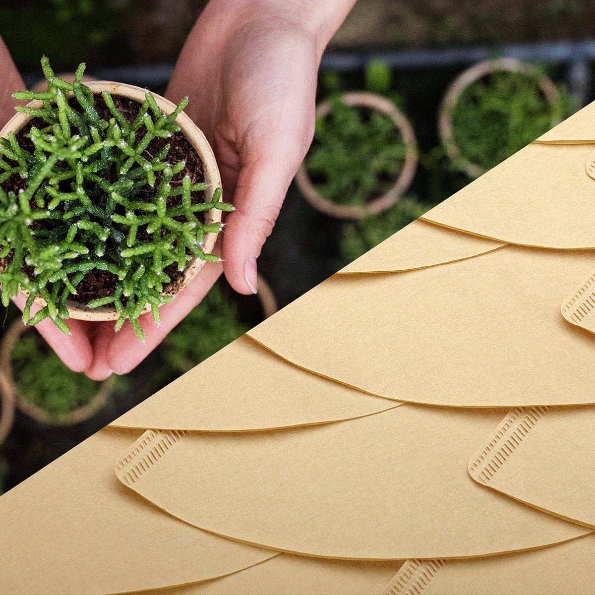 Prevent soil leakage