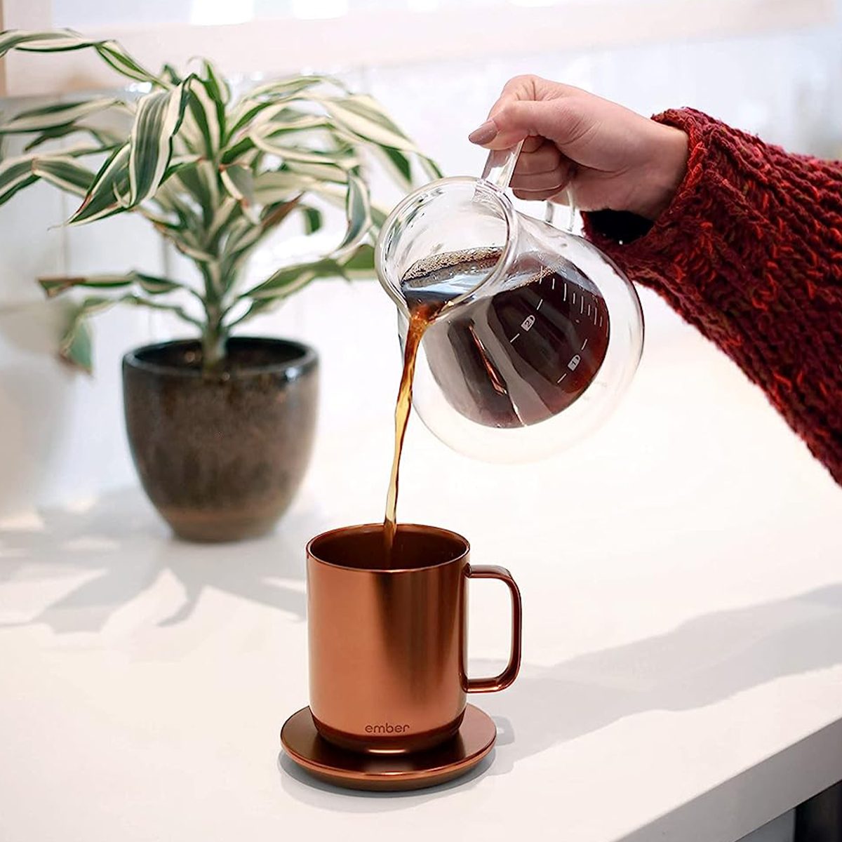 6 Fall Mugs That You’ll Love to Cozy Up With