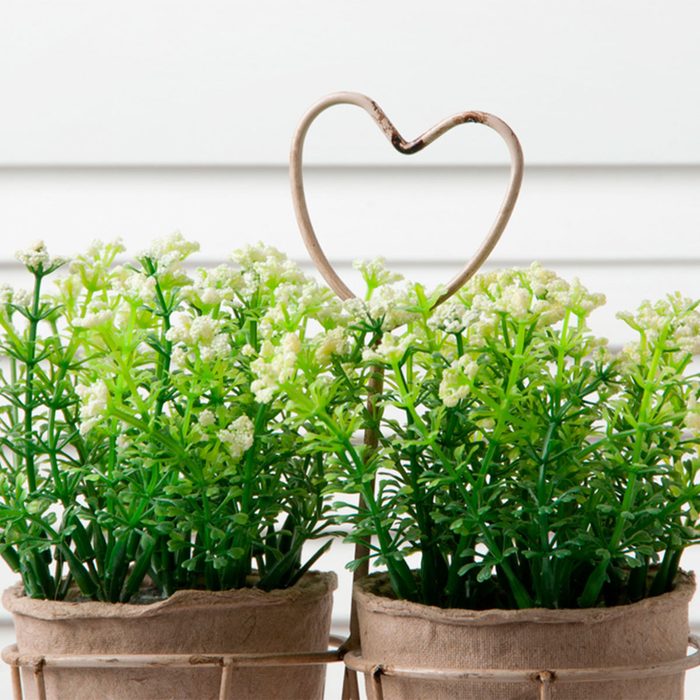 Greenery with wire heart