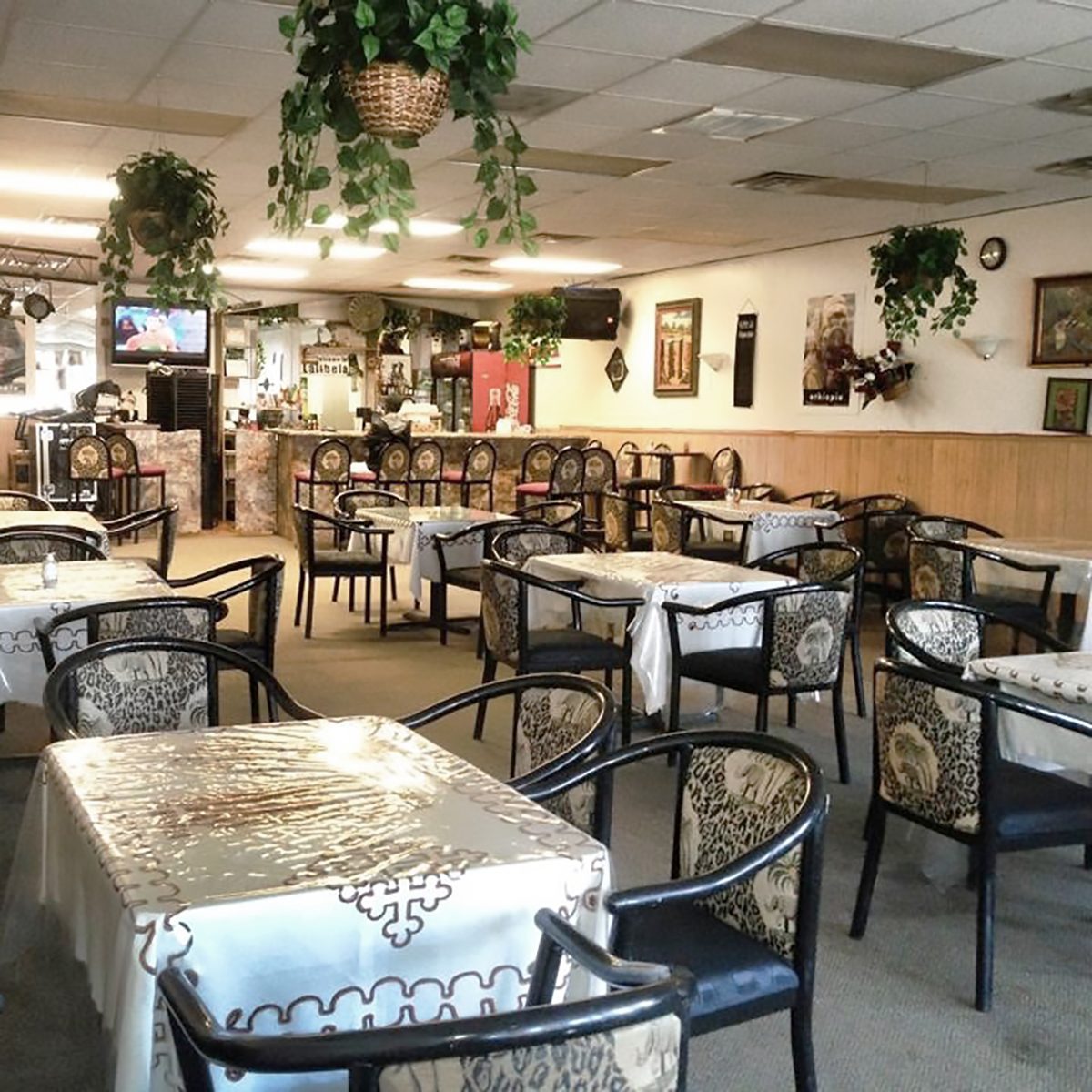 Best vegetarian and vegan restaurant in South Dakota Lalibela