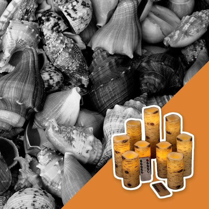 Your seashell collection