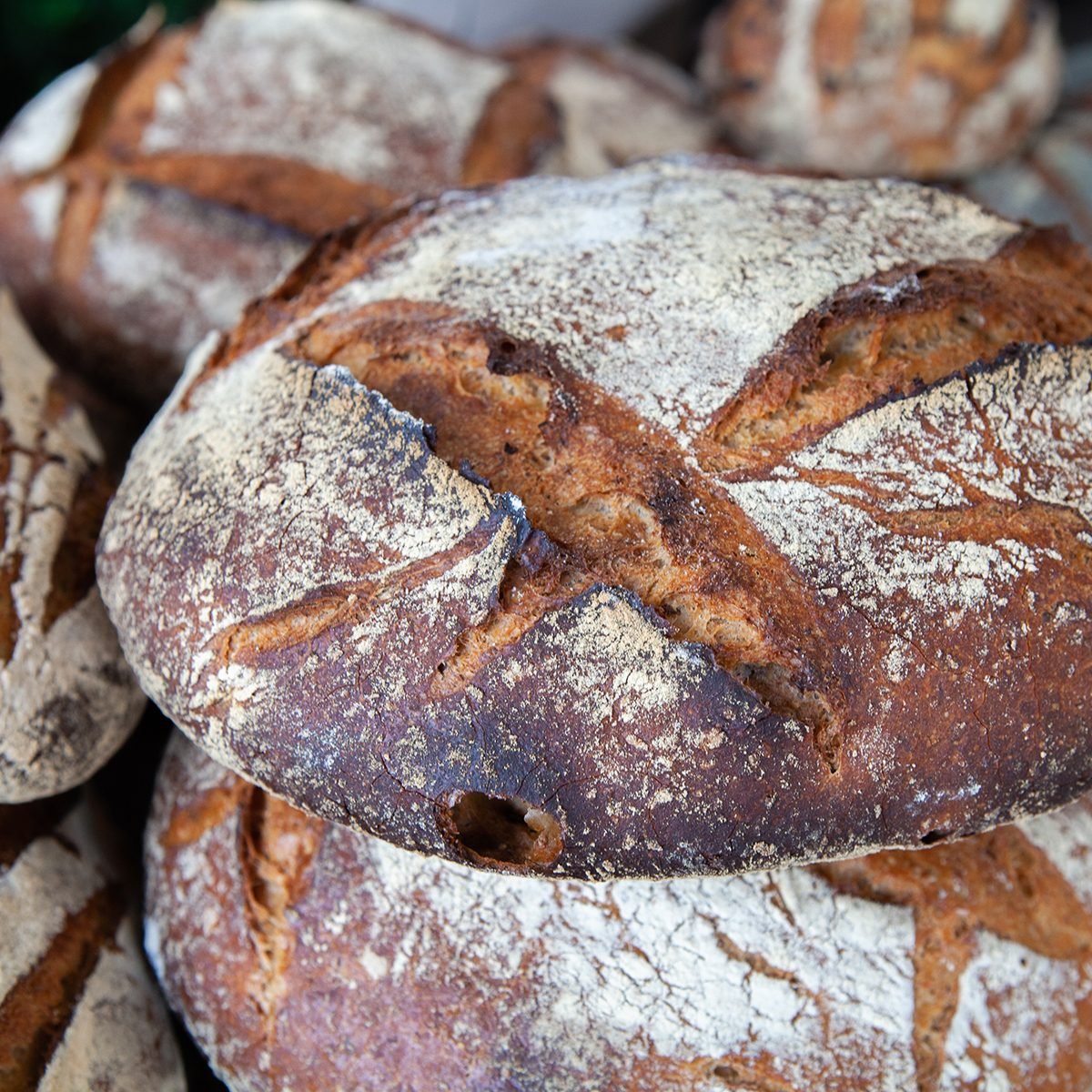types of french bread Close Up Of Delicious And Freshly Baked Pain De Campagne 