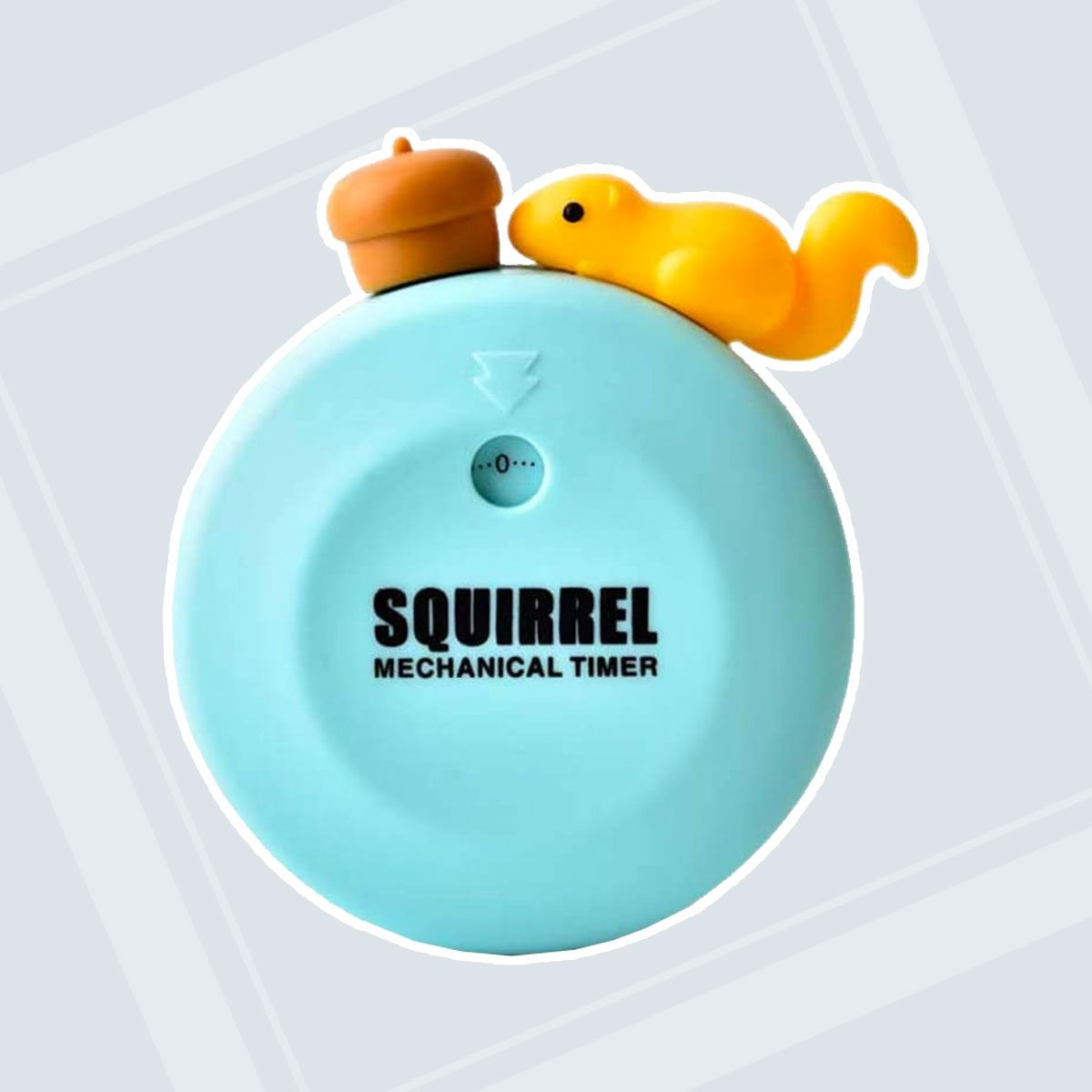 Squirrel Cute Kitchen Timer