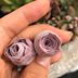 Pink Rose Succulents Are Perfect for Houseplant Fans—Here's Where to Find Them