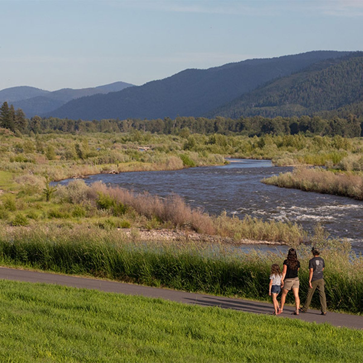 Milltown Walk best picnic spot