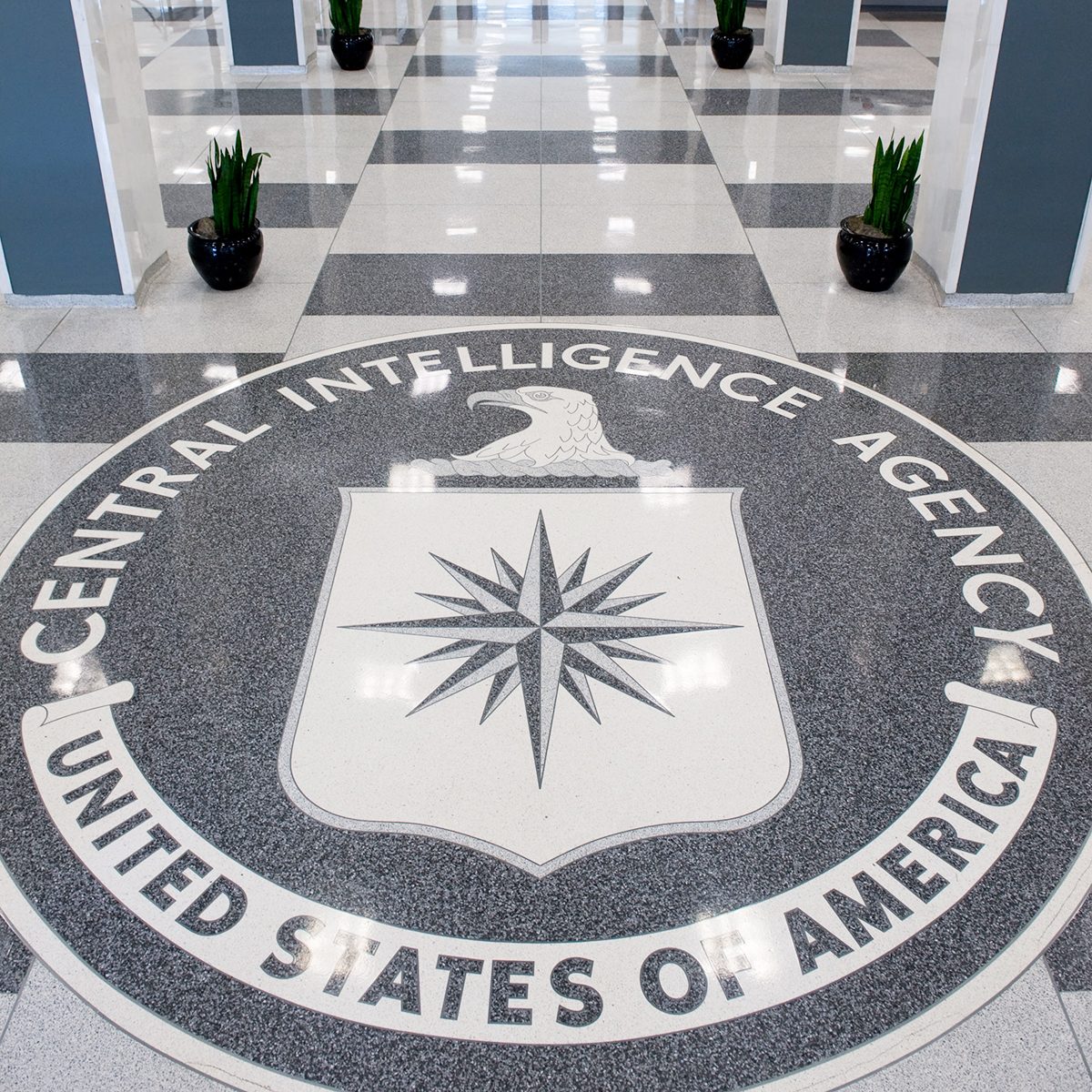 The Central Intelligence Agency (CIA) seal is displayed in the lobby of CIA Headquarters in Langley, Virginia, on August 14, 2008. AFP PHOTO/SAUL LOEB (Photo by SAUL LOEB / AFP) (Photo by SAUL LOEB/AFP via Getty Images)