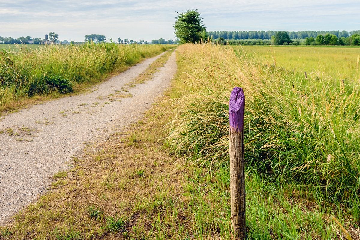 If You See a Painted Purple Fence, This Is What It Means