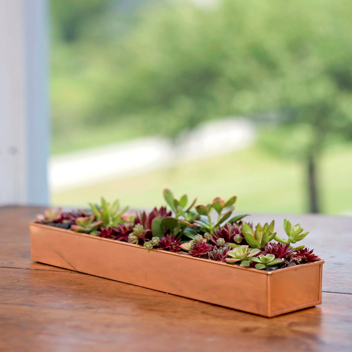Rectangular Copper Plant Tray 18x4