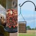 How to Keep Squirrels Away from Bird Feeders Using a Slinky