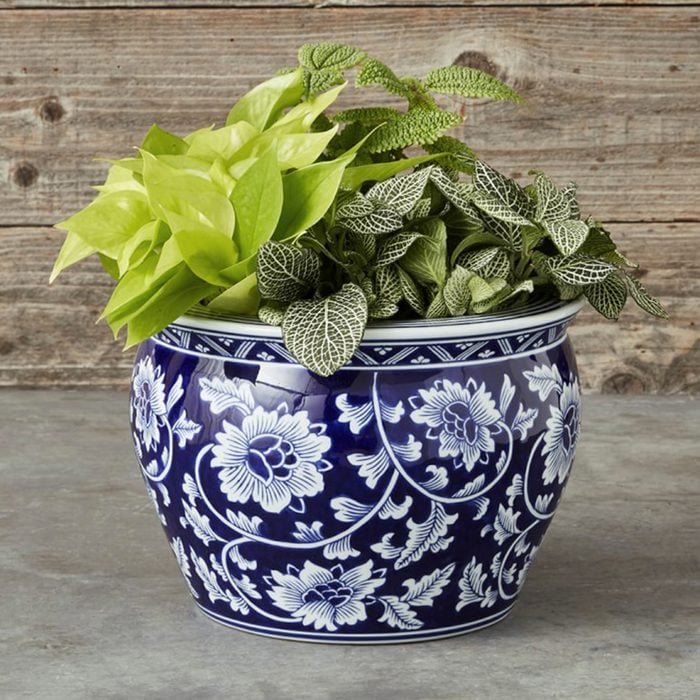 Blue And White Ceramic Pot
