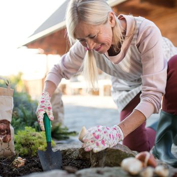 Senior Woman Planting Bulbs Outdoors In Autumn Garden Gardening Concept
