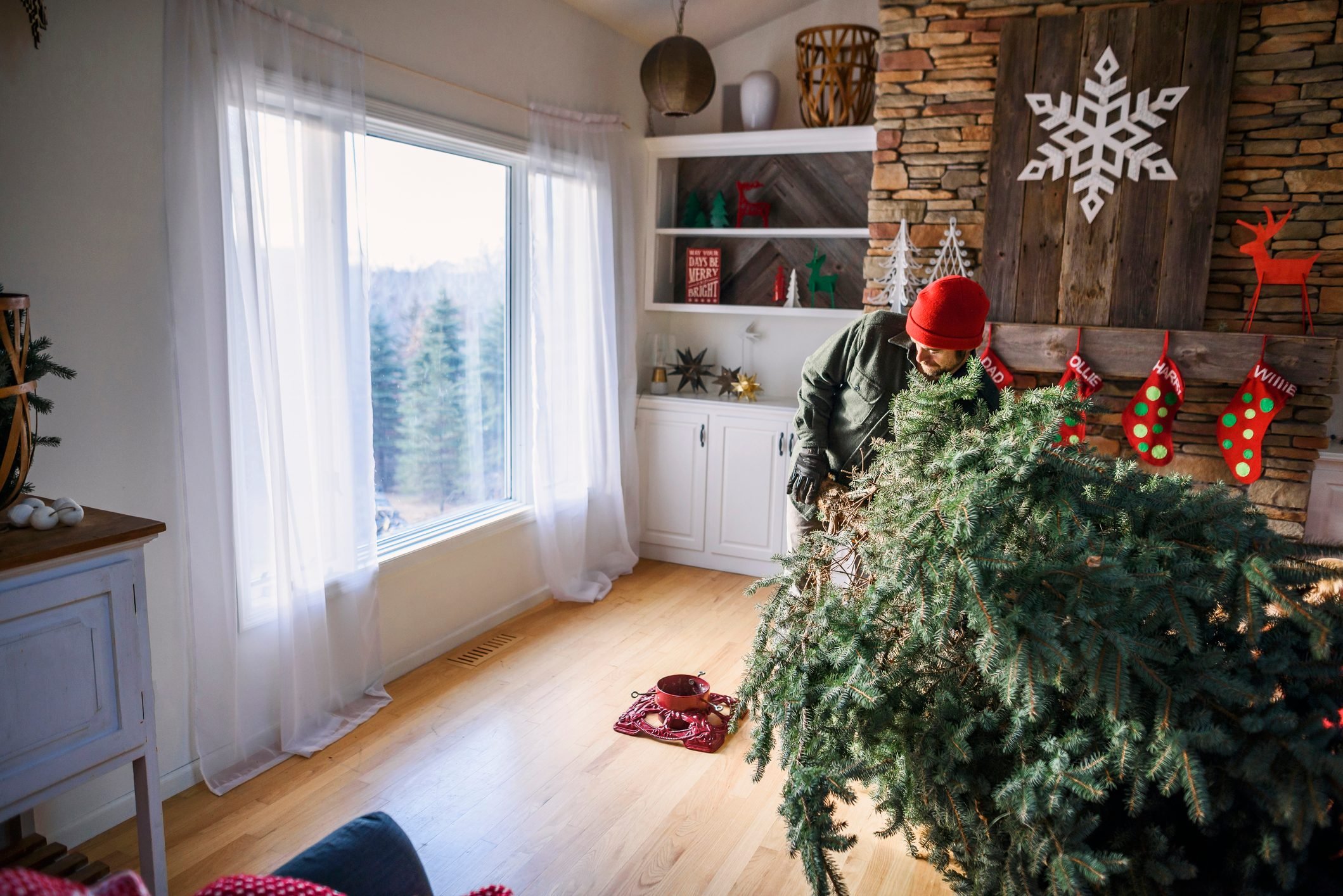 How to Keep a Christmas Tree Alive for the Holidays
