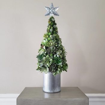 Succulent Christmas Tree Tabletop Ecomm Via Etsy.com