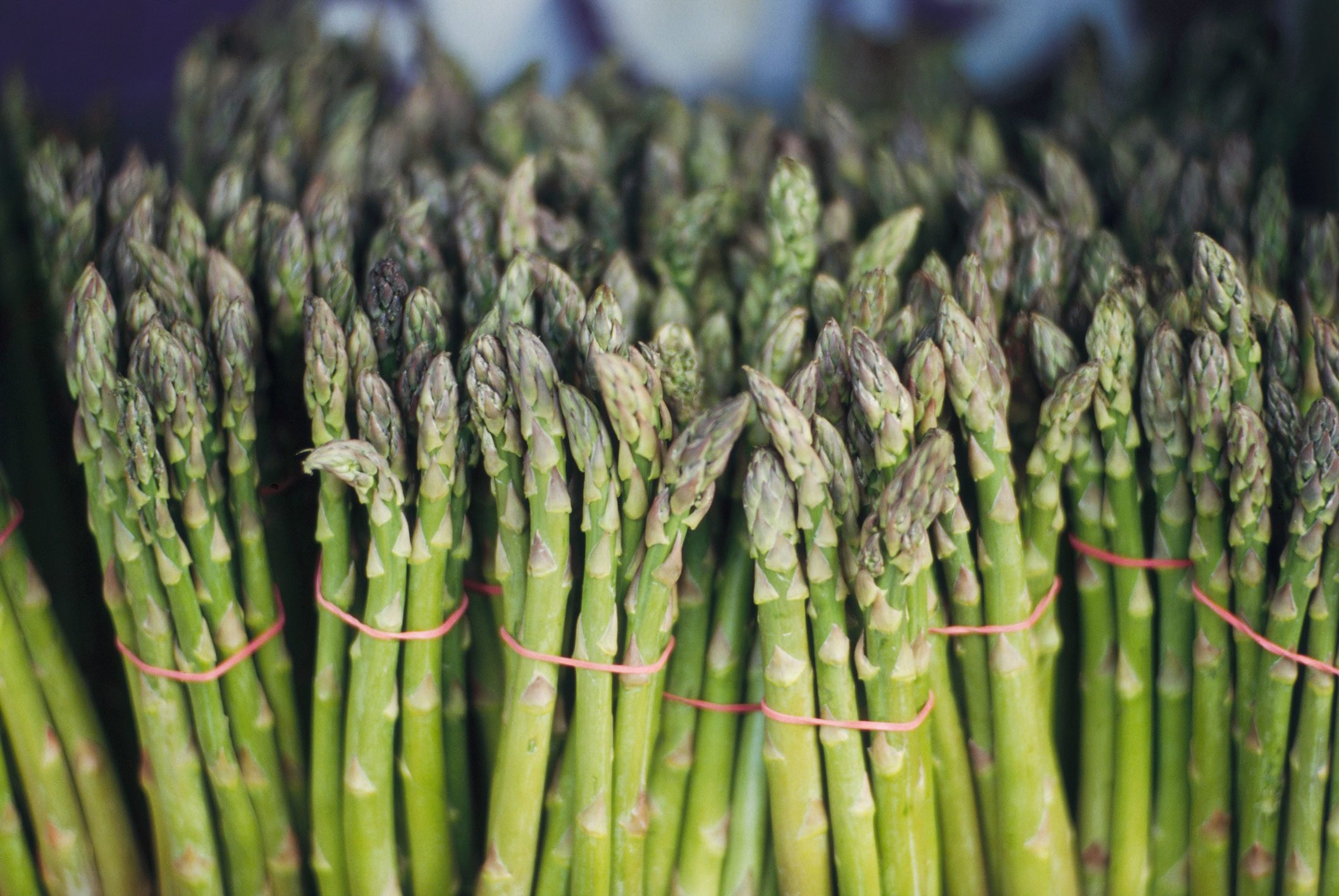 Why Does Asparagus Make Your Pee Smell?