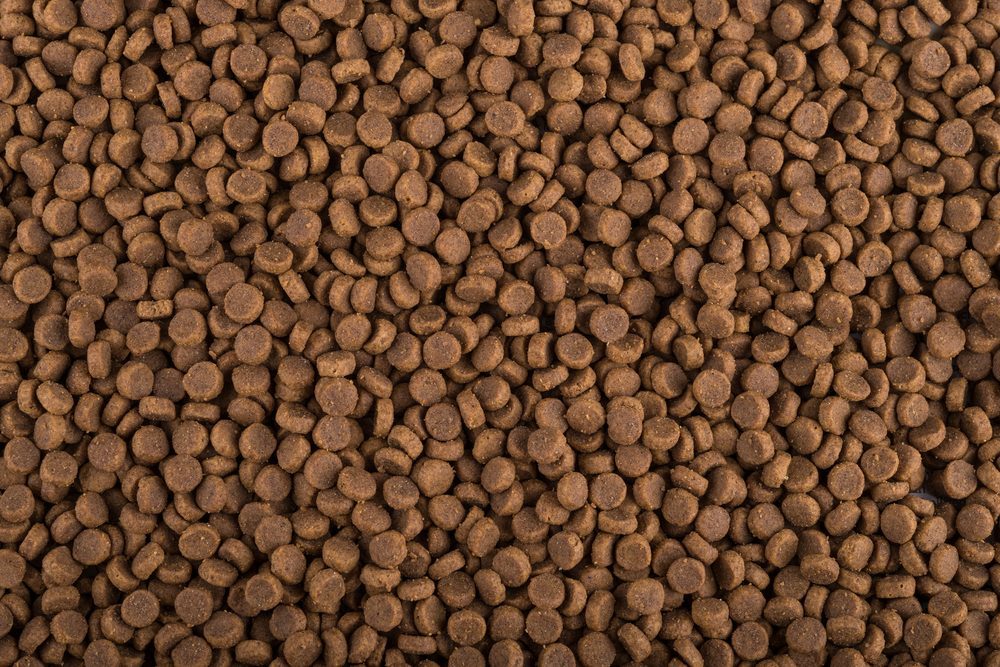 Pet Food Shutterstock 411245038