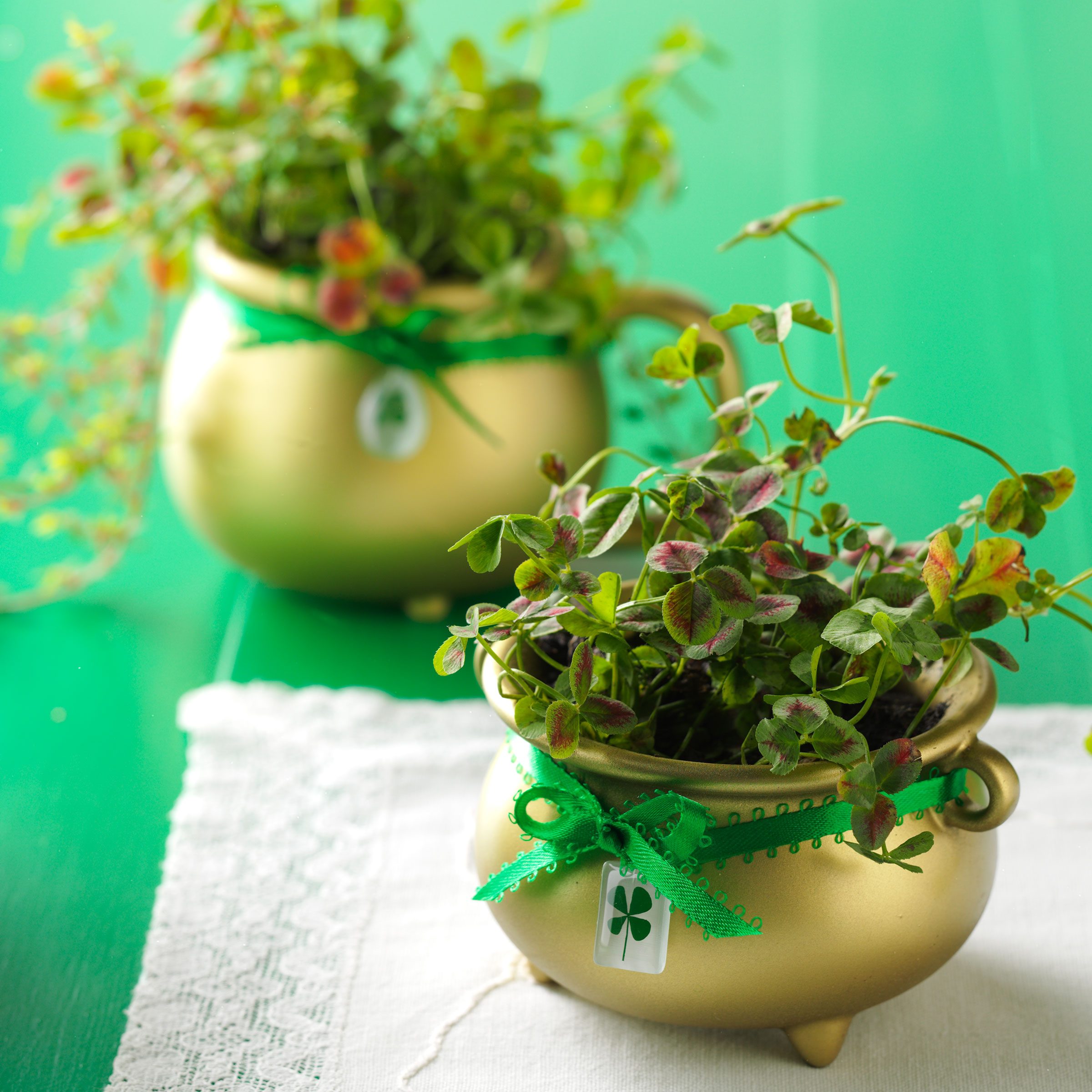 St Patricks Day Planter