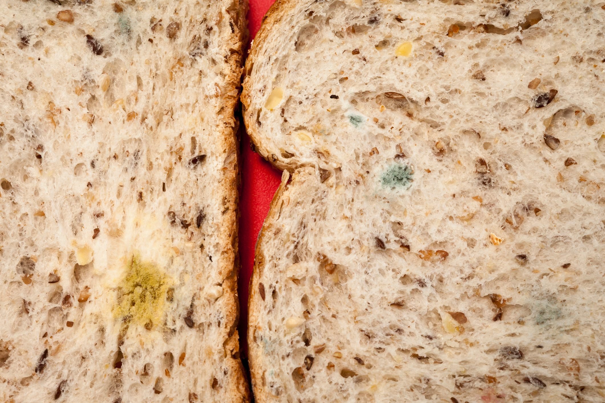 Can You Eat Moldy Bread?