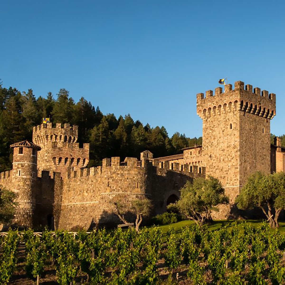 Castello Di Amorosa California