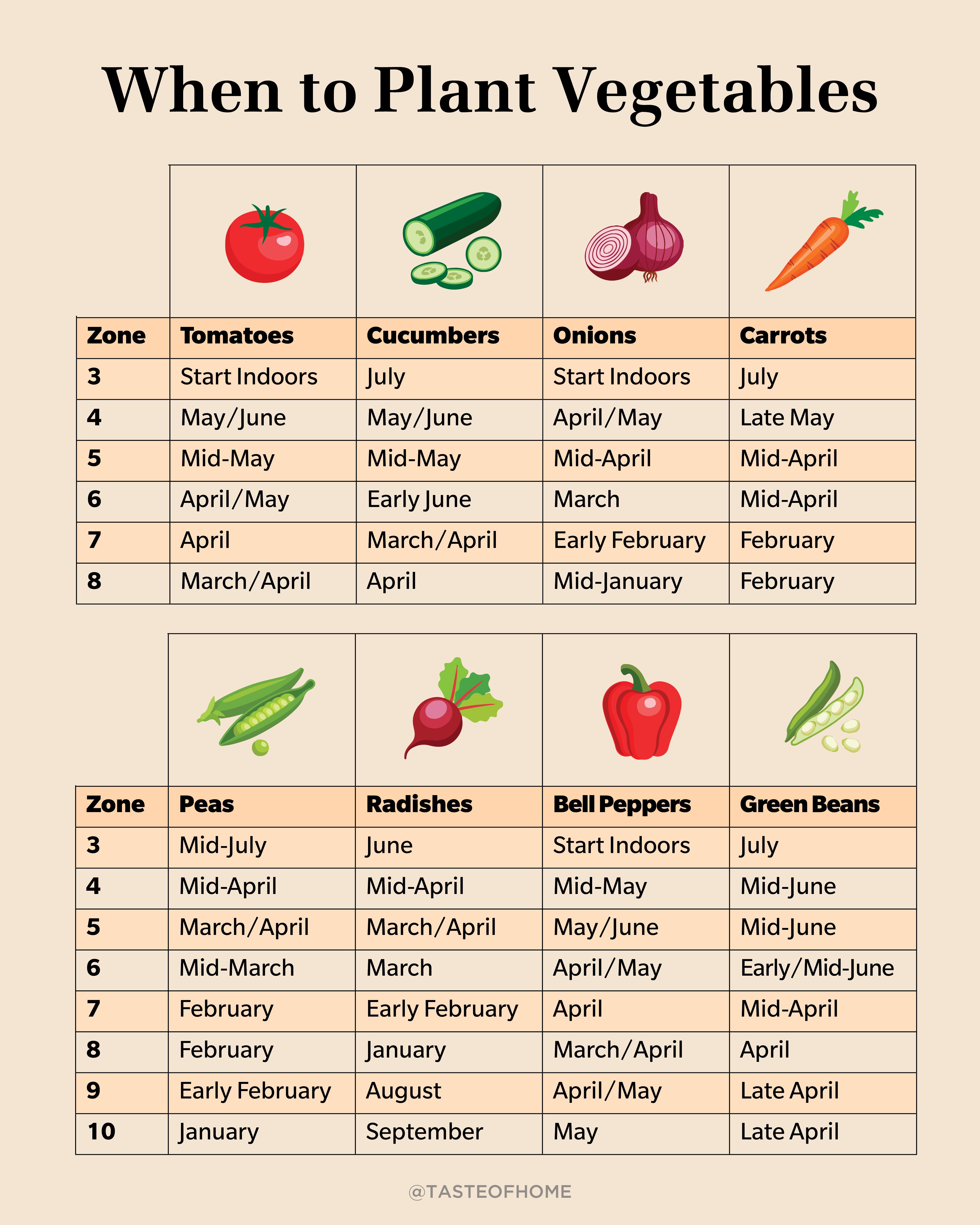 When To Plant Vegetables Graphic Chart