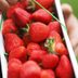 How to Pick the Juiciest Strawberries at the Store or on the Farm