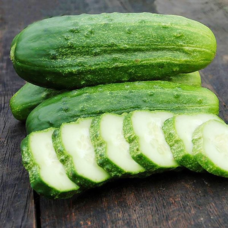 National Pickling Cucmber