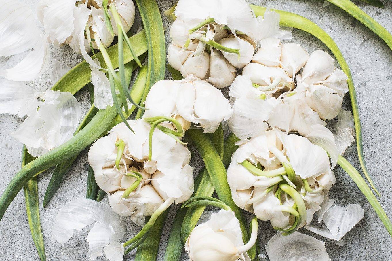 Can You Eat Sprouted Garlic?