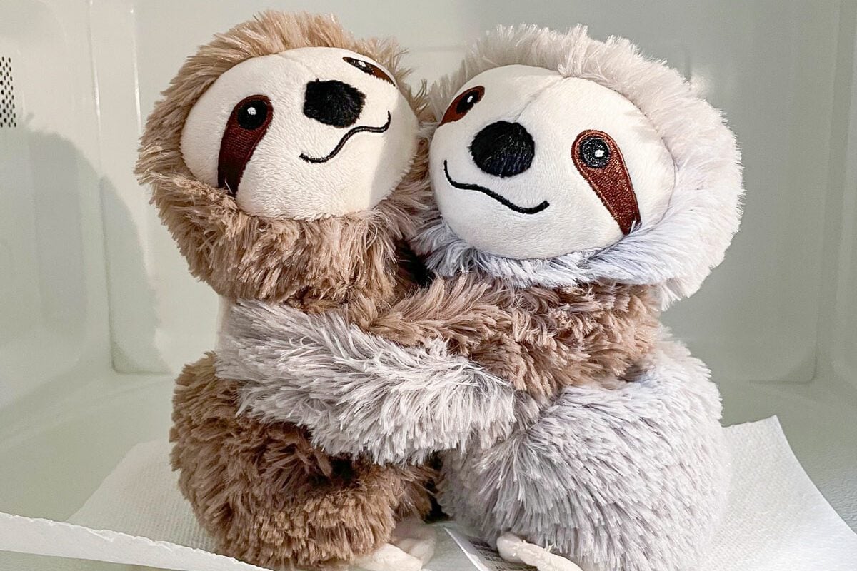Warmies sloth hugs in microwave