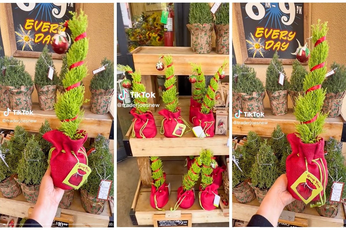 Trader Joe’s Sells Grinch-Inspired “Grump Trees” and We’re Obsessed