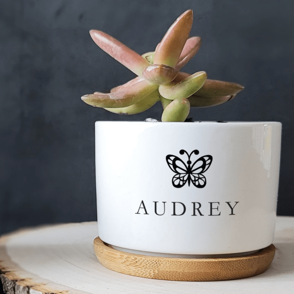 Personalized Succulent Via Etsy
