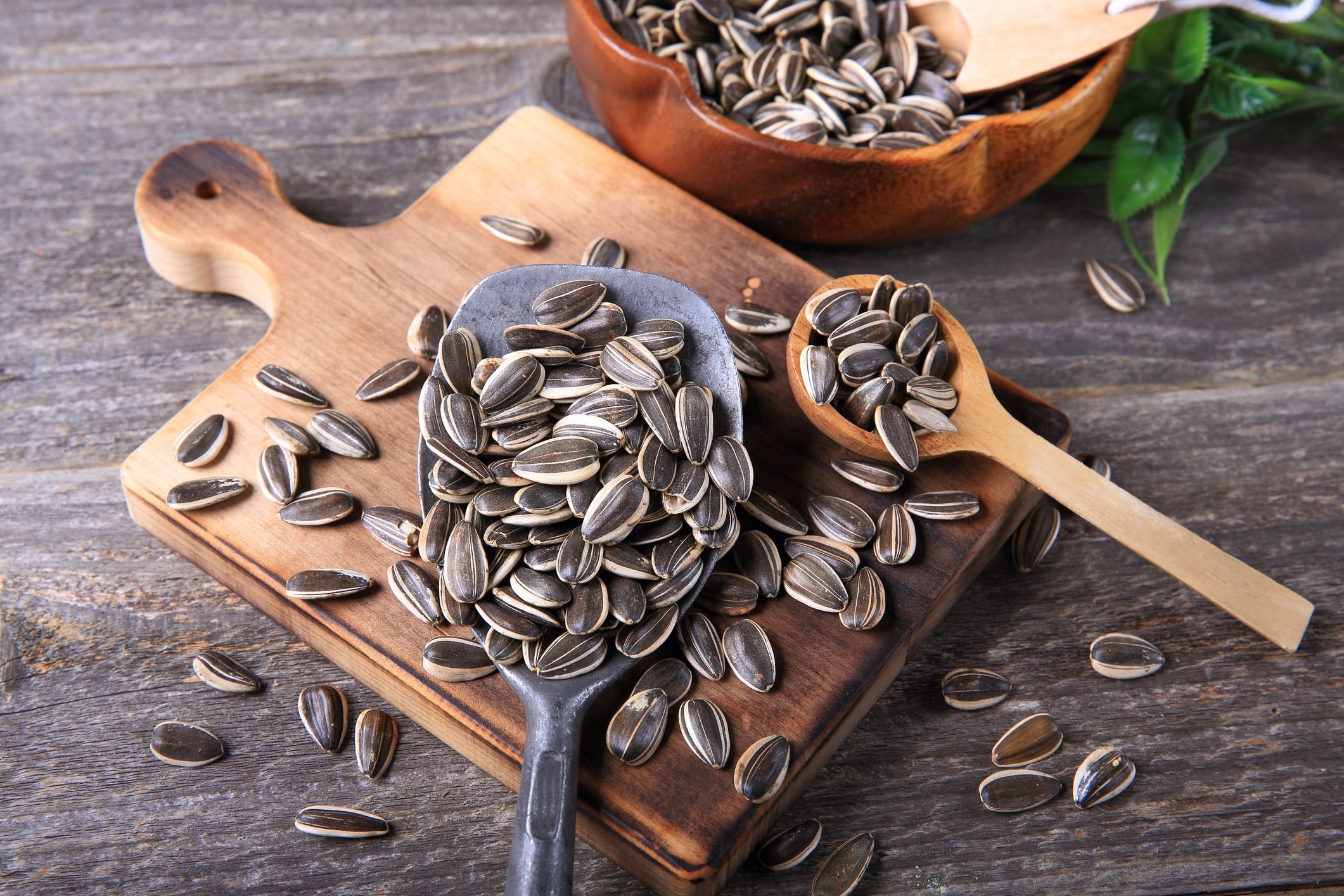 Can You Eat Sunflower Seed Shells?