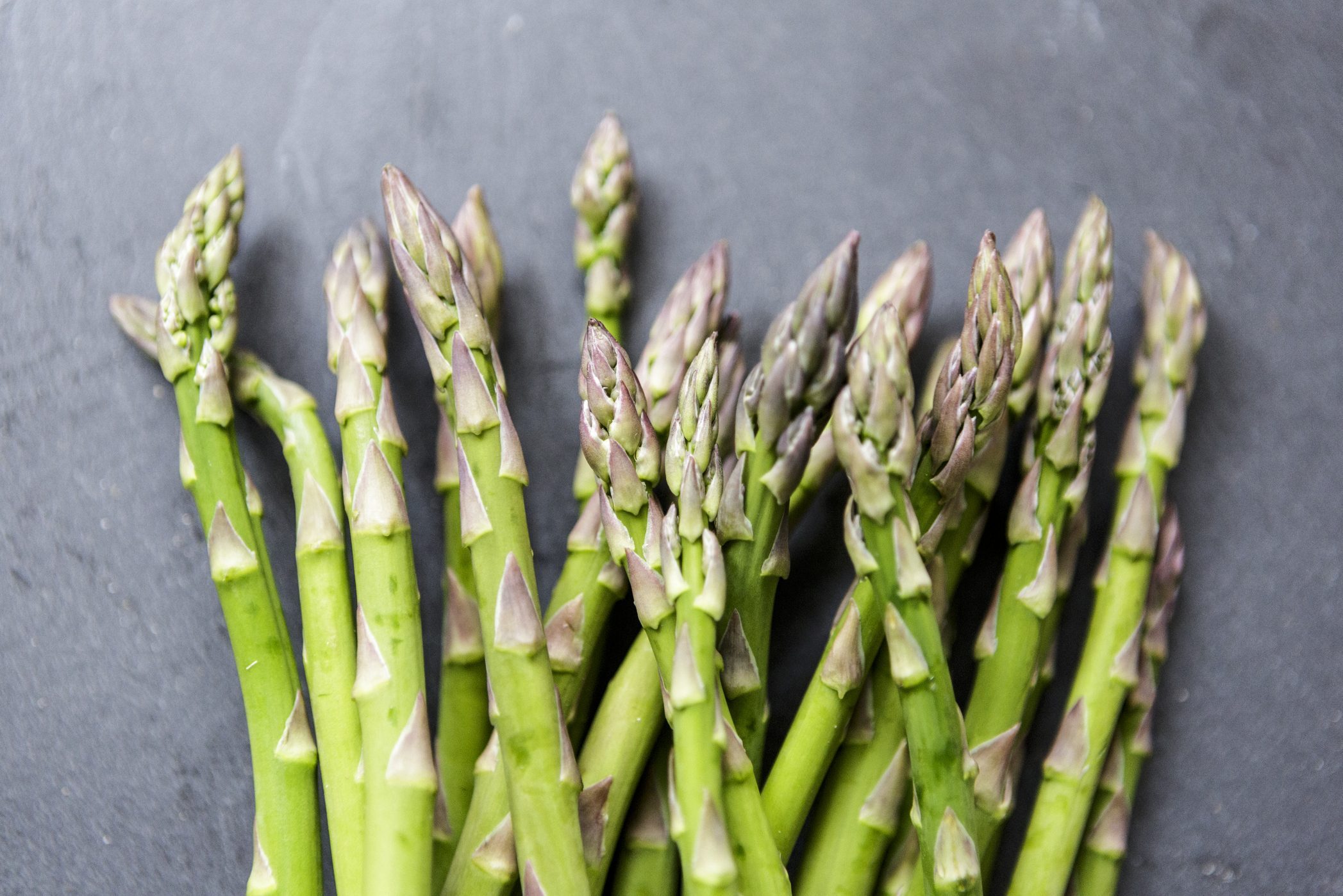 Asparagus on dark background