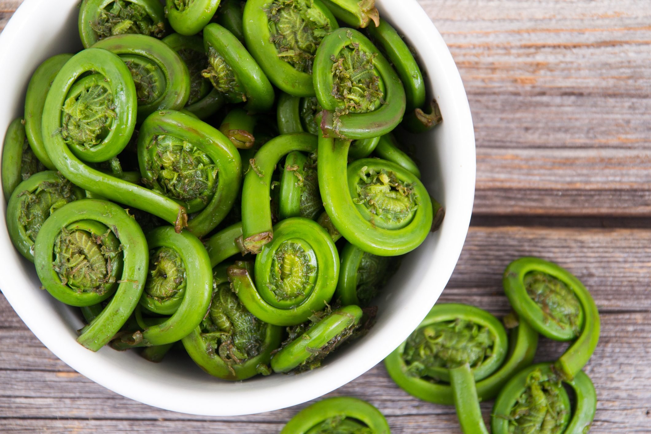 Ostrich Fern Fiddleheads bowl ready to cook with this seasonal ingredient