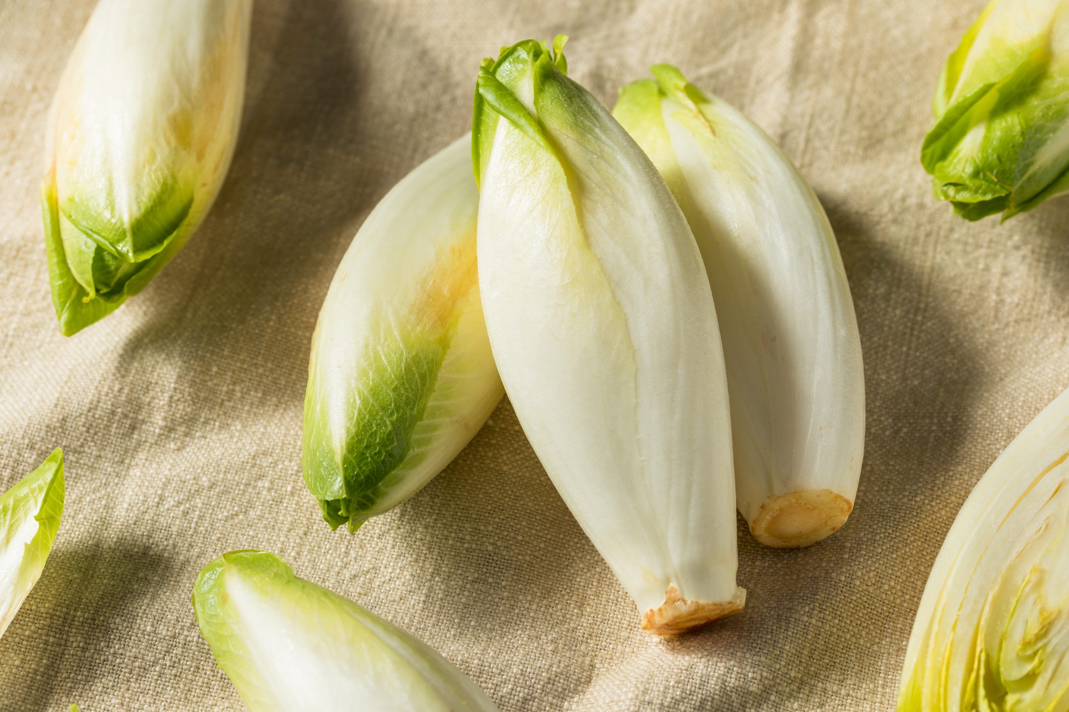 Raw Organic Belgian Endive
