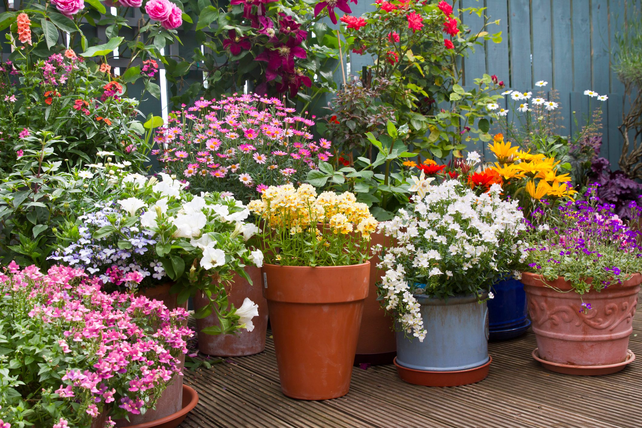 Summer flower container display in patio