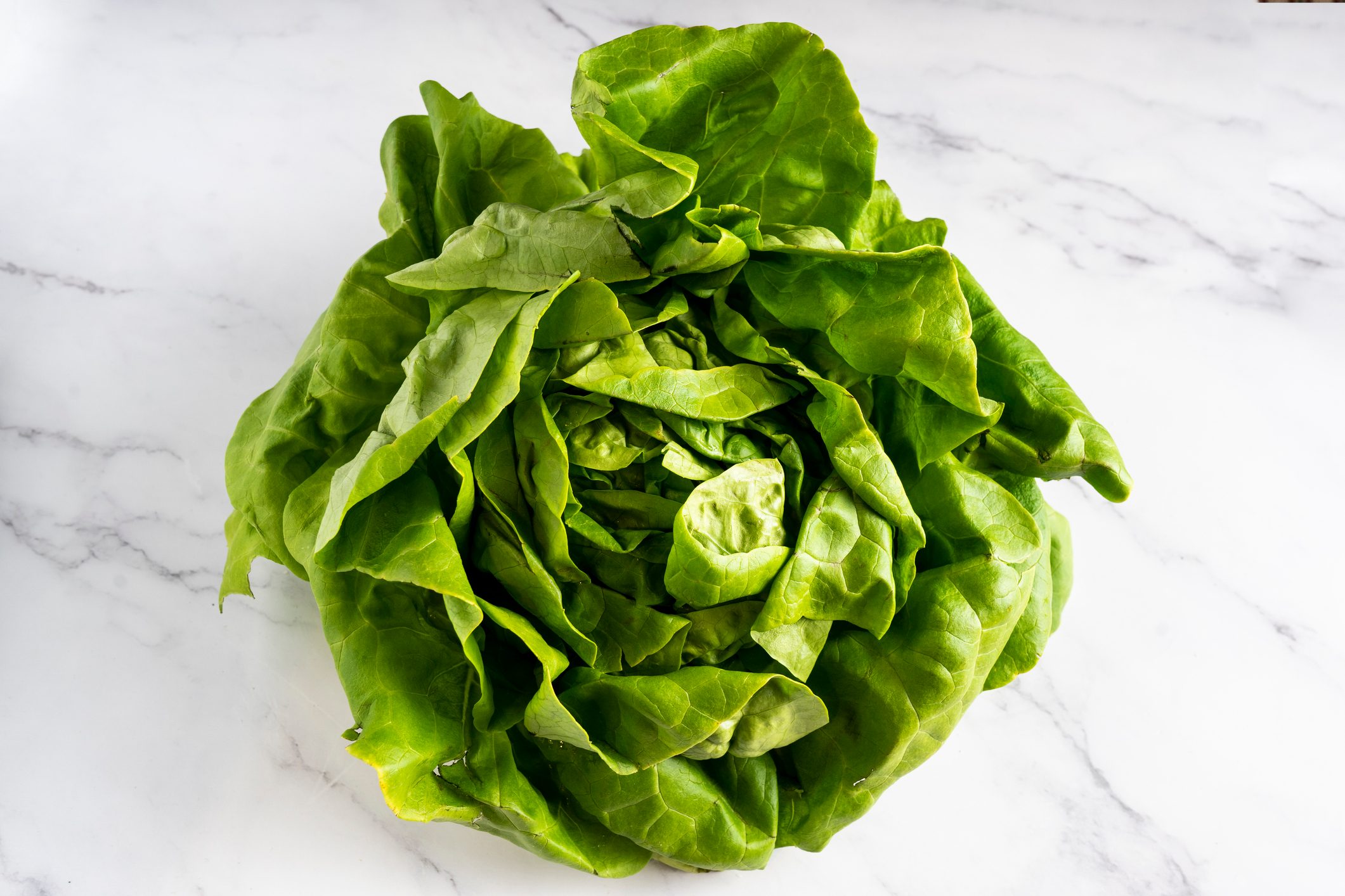 red cabbage lettuce isolated on white marble background