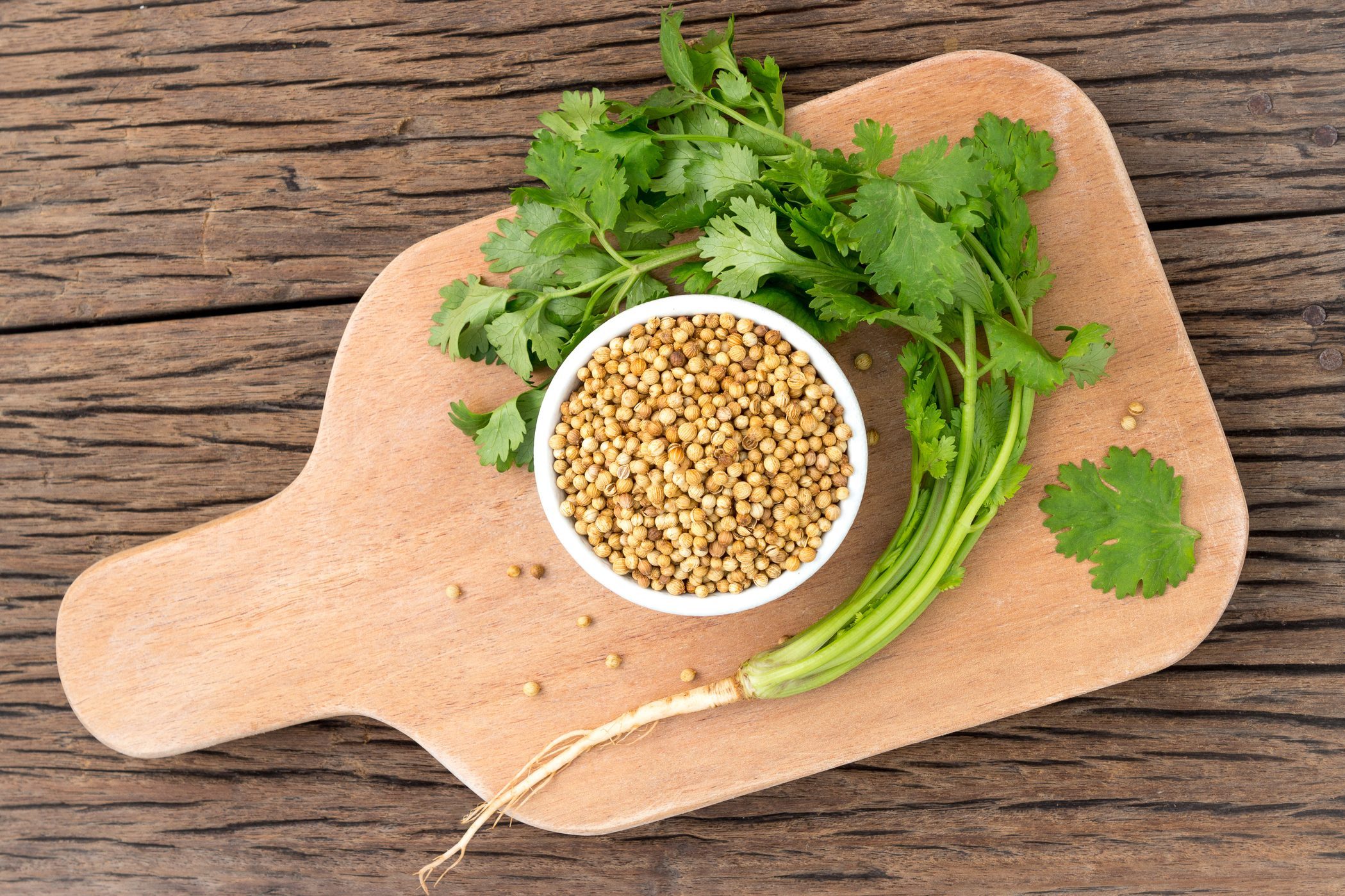 Coriander vs. Cilantro: What’s the Difference?