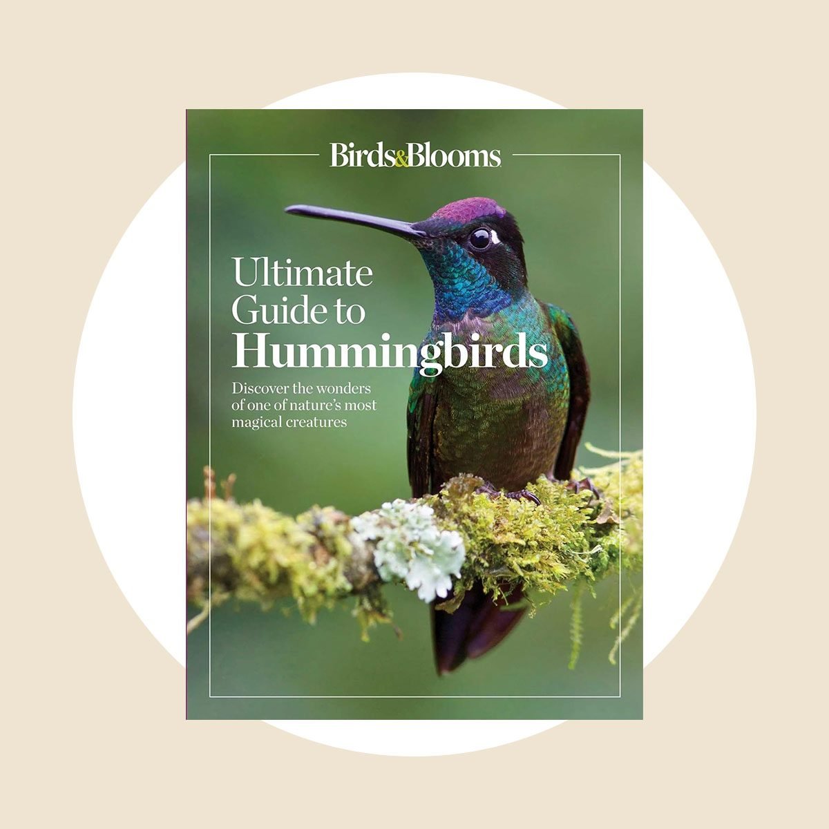 Birds & Blooms Ultimate Guide to Hummingbirds
