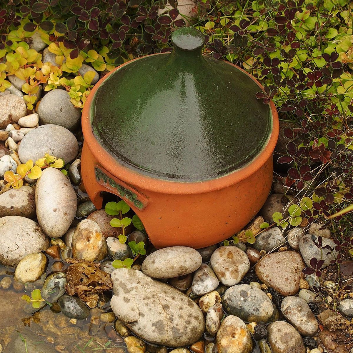 Ceramic Frog and Toad House