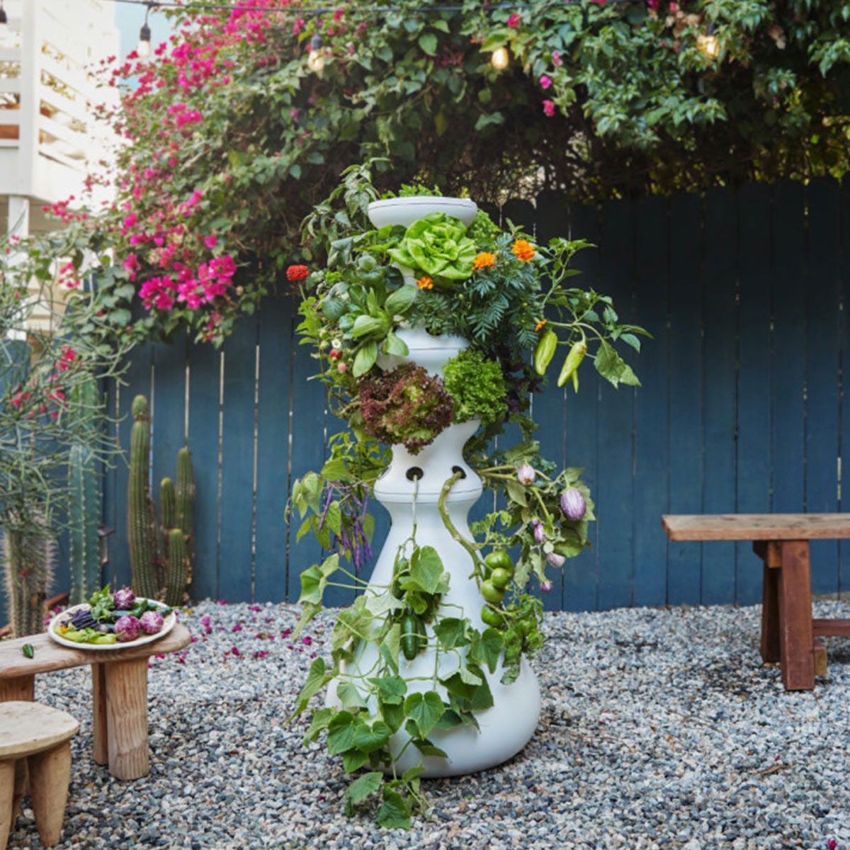 Lettuce Grow Farmstand