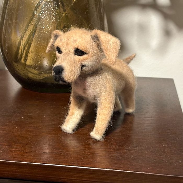 Toha24 Wool Lookalike Nicole Doster 01 Ssedit