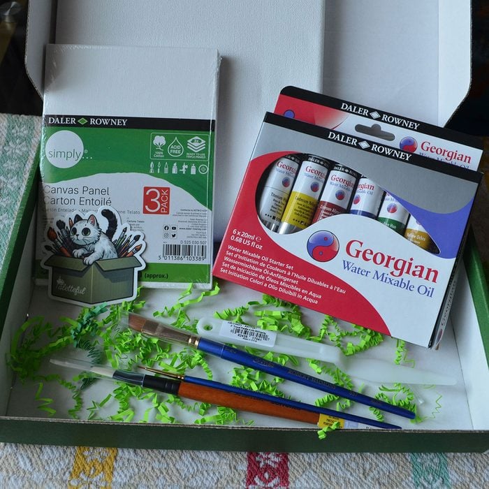 Paletteful Painter subscription box