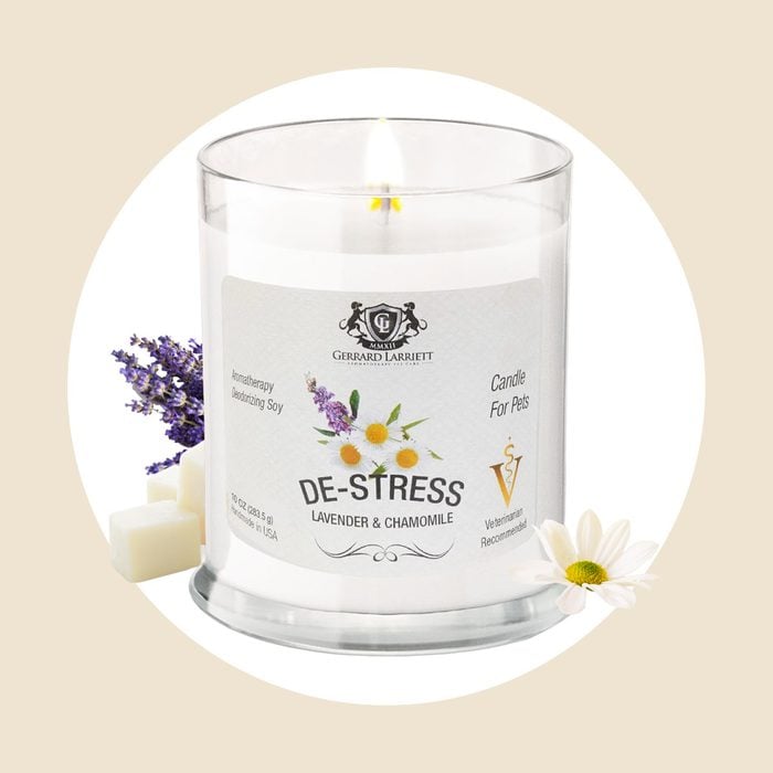 Lavender & Chamomile Aromatherapy Deodorizing Soy Candle For Pets, Pet Odor Eliminator & Animal Lover Gift