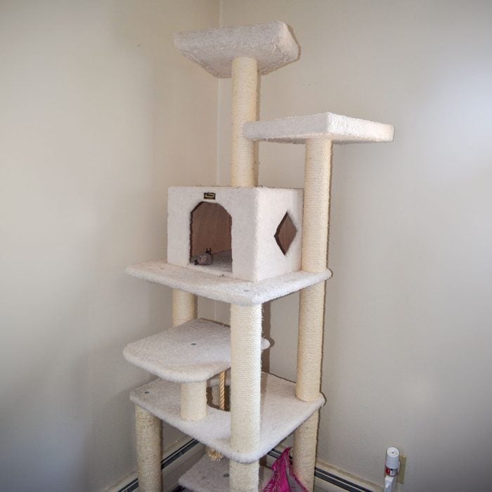 Armarkat Cat Tree
