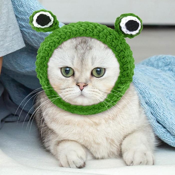 Weewooday 5 Pieces Cat Hat Cat Costume Bunny Hat With Ears