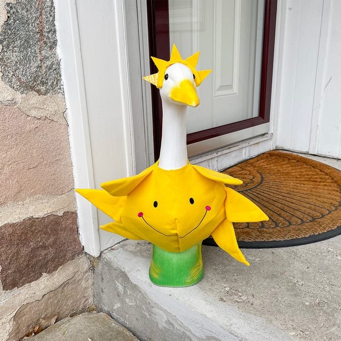 Toha23 Porch Goose Katie Bandurski 01e Ssedit