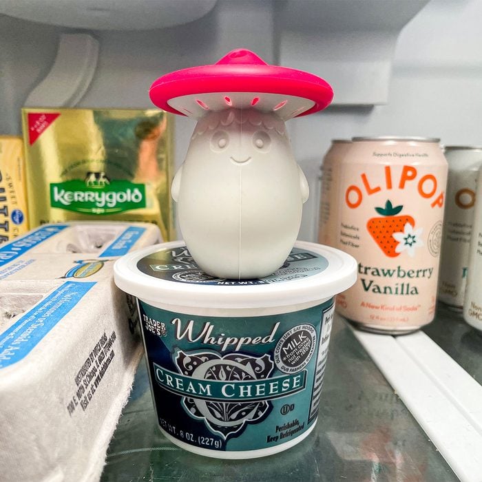 Toha24 Fun Fridge Odor Absorber Katie Bandurski 01 Ssedit