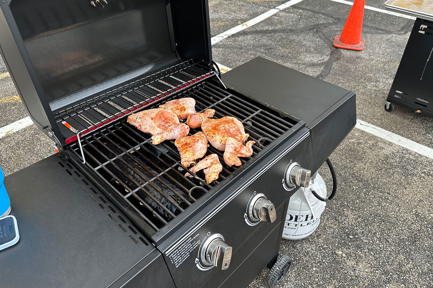 Expertgrill Chicken2 