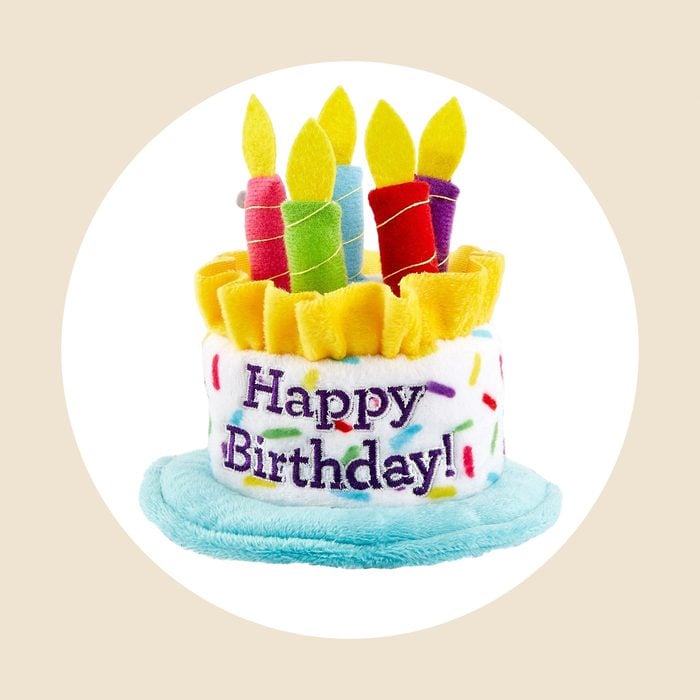 Birthday Cake Dog Hat Ecomm Via Chewy.com