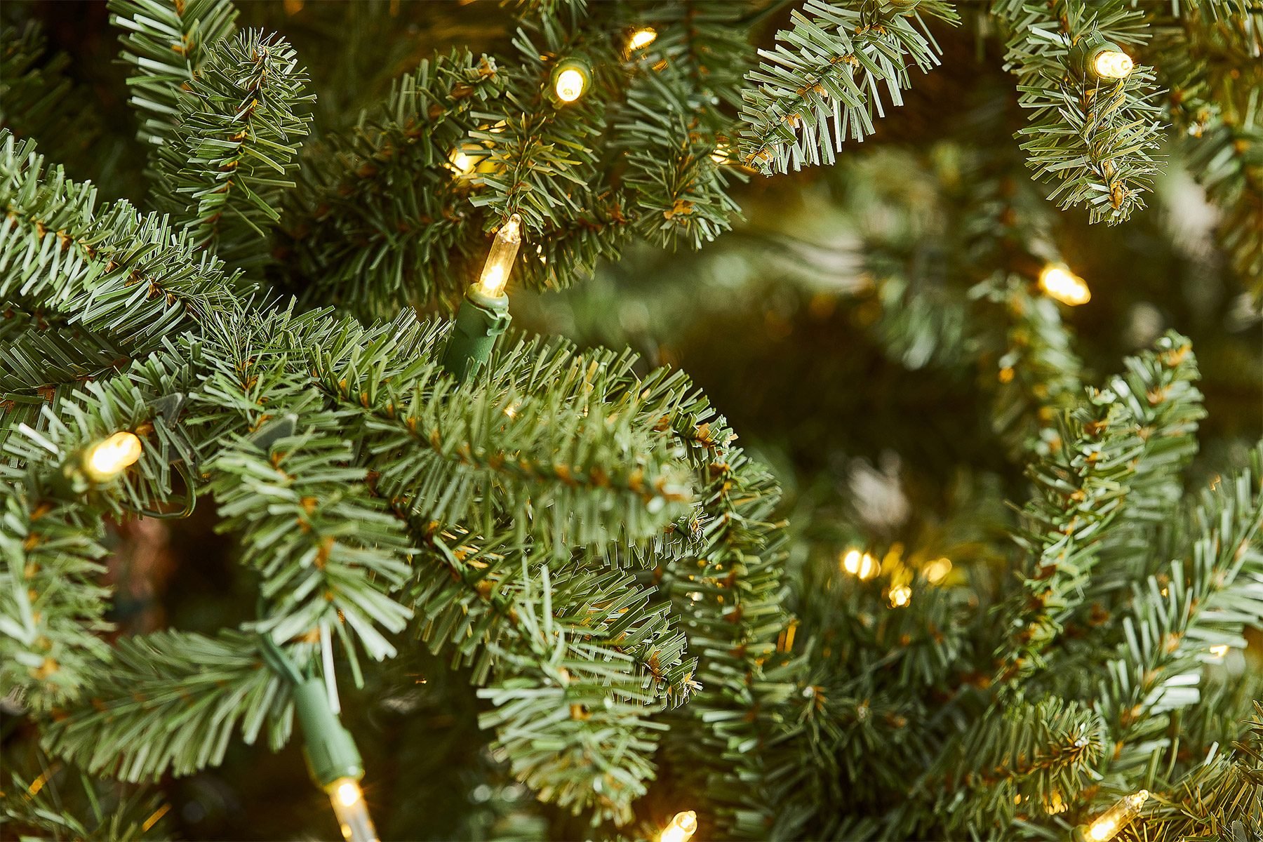 Balsam Hill Classic Blue Spruce Tree Closeup